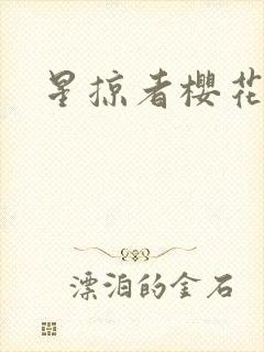 星掠者樱花动漫