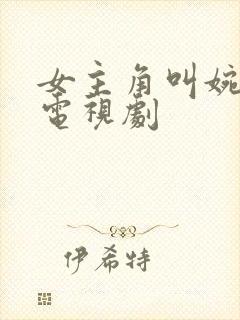 女主角叫婉婷的电视剧