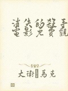 消失的杀手国语电影免费观看