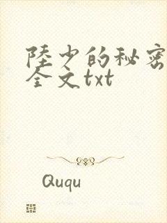 陆少的秘密恋人全文txt