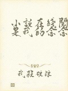 小说在线阅读你是我的念念不忘