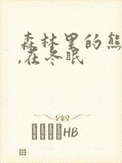 森林里的熊先生,在冬眠