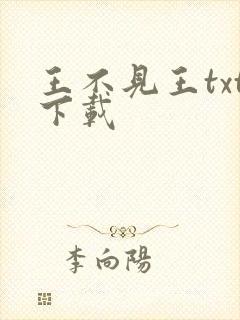 王不见王txt下载封面