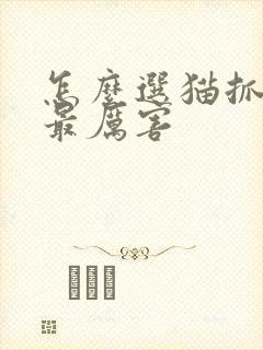 怎么选猫抓老鼠最厉害