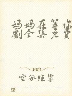 妈妈在等你电视剧全集免费观看完整版封面