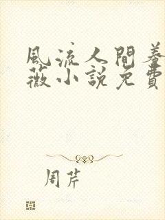 风流人间养父采薇小说免费笔趣阁封面