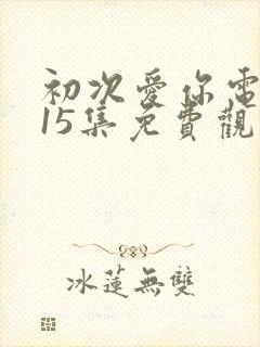 初次爱你电视剧15集免费观看封面