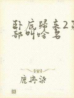 卧底归来2第二部叫啥名