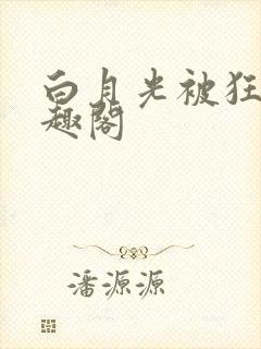 白月光被狂后笔趣阁