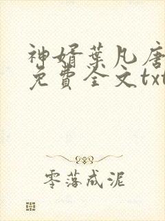 神婿叶凡唐若雪免费全文txt封面