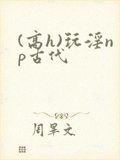 (高h)玩淫np古代封面