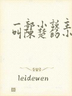 一部小说主人公叫陈楚的小说