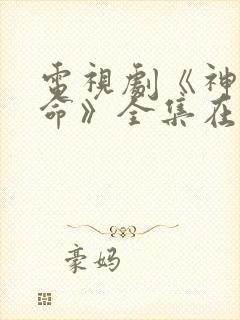 电视剧《神圣使命》全集在线观看