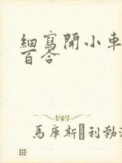 细写开小车车的百合