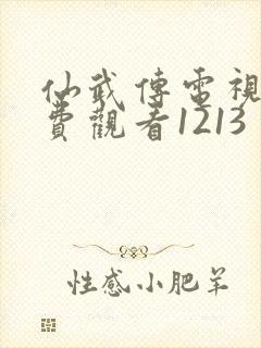 仙武传电视剧免费观看1213