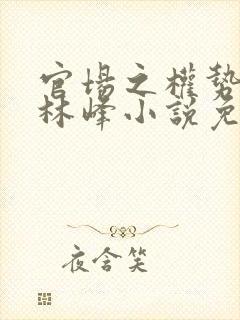 官场之权势滔天林峰小说免费阅读最新章节