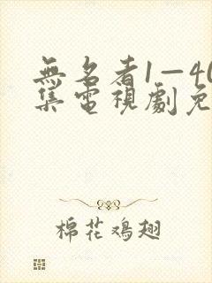 无名者1—40集电视剧免费观看