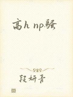 高h np骚