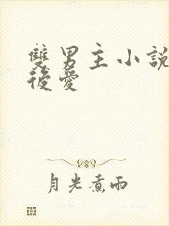 双男主小说先婚后爱封面