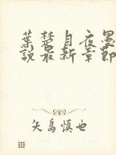 叶楚月夜墨寒小说最新章节列表