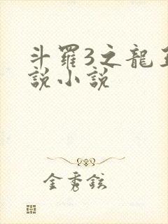 斗罗3之龙王传说小说