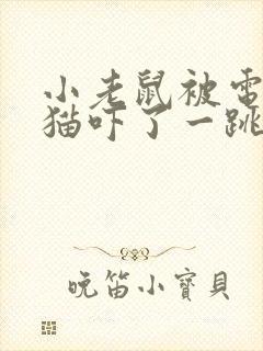 小老鼠被电脑的猫吓了一跳看图写话