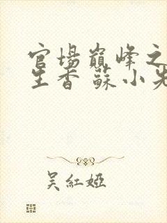 官场巅峰之权色生香 苏小先生封面