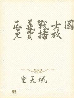 正义战士国语版免费播放