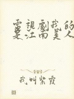 电视剧我的id是江南美人