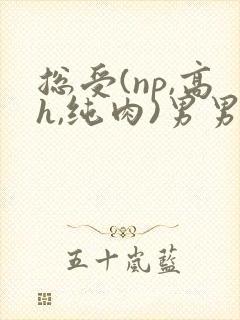 总受(np,高h,纯肉)男男封面