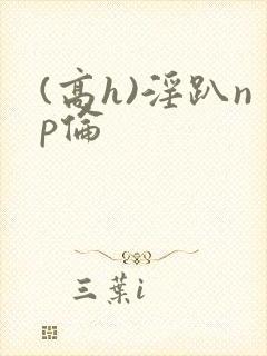(高h)淫趴np伦