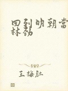 回到明朝当王爷林劲