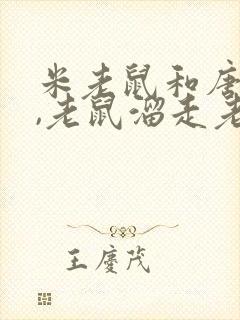 米老鼠和唐老鸭,老鼠溜走老鸭藏