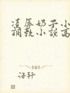 凌辱奶子小说上调教小说高h封面