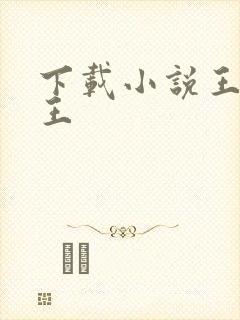 下载小说王不见王