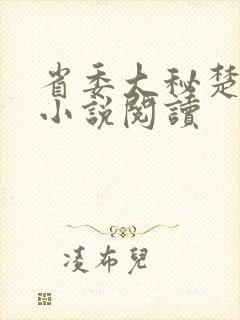 省委大秘楚东恒小说阅读