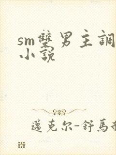 sm双男主调教小说