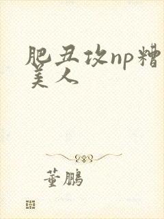 肥丑攻np糟蹋美人