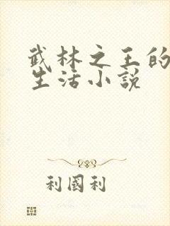 武林之王的退隐生活小说