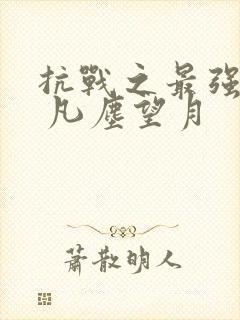 抗战之最强战兵 凡尘望月