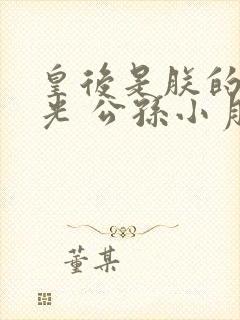 皇后是朕的黑月光 公孙小月