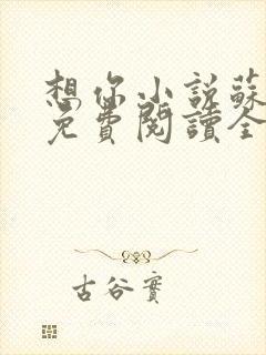 想你小说苏玛丽免费阅读全文无弹窗