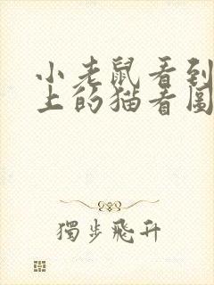 小老鼠看到电脑上的猫看图写话