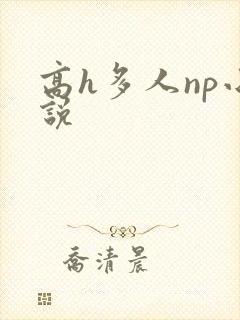 高h多人np小说