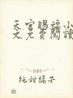 天官赐福小说全文免费阅读笔趣阁