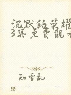 沉默的荣耀第13集免费观看