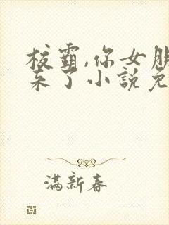 校霸,你女朋友来了小说免费阅读