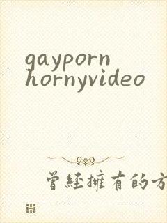 gaypornhornyvideo