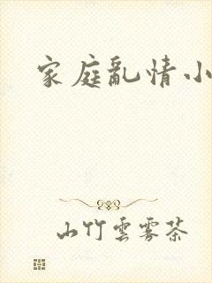 家庭乱情小说