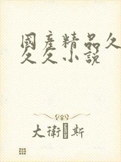 国产精品久久久久久小说封面